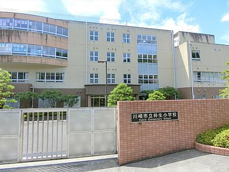 川崎市立柿生小学校（775m）