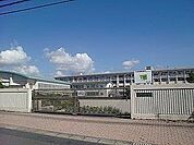 和田小学校【鹿児島市立和田小学校】は、和田2丁目に位置する1902年創立の小学校です。令和4年度の生徒数は781人で、30クラスあります。校訓は「助け合う子　考える子　がんばる子」です。 450m