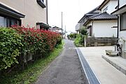 撮影:2020年7月17日