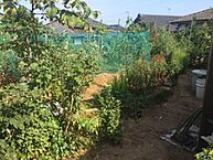 茨城県日立市南高野町：物件画像