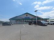 セイブ金砂郷店