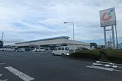 カワチ薬品常陸大宮店