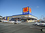 マツモトキヨシ東海店