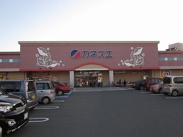 画像23:カネスエ日永店