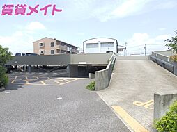 17 / 25