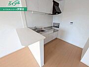 同型反転タイプの画像です