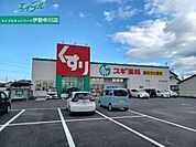 スギ薬局城山店 738m