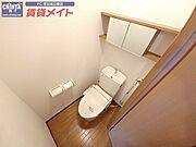 同型反転タイプ画像