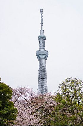 春には屈指の桜...