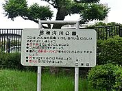 園内には多くの樹木が植えられており、都会のオアシス的な公園です。