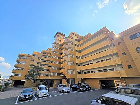若松中央小学校・若松中学校エリア