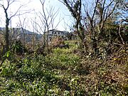 是非、ご覧ください。