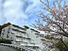 外観：春になるとマンション周辺には桜景色が広がります。ご内見是非ともお待ちしております。