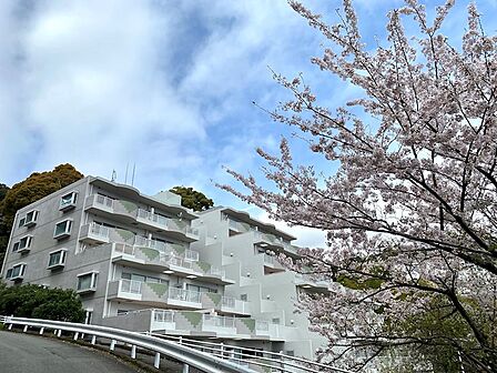 春になるとマンション周辺には桜景色が広がります。ご内見是非ともお待ちしております。