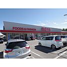 スーパー「オギノ岡谷店まで953ｍ」