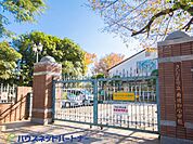 周辺環境-小学校(190m)南浦和小学校
