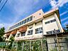 周辺：周辺環境-小学校(710m)柳崎小学校