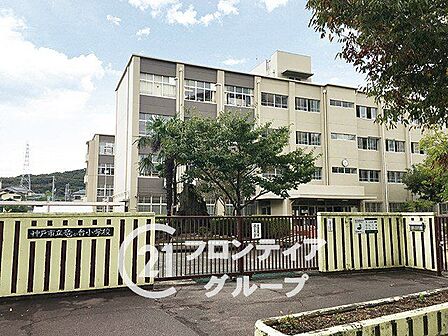 神戸市立竜が台小学校 徒歩5分。 390m