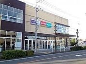 ダイソーヤオコー浦和上木崎店 247m