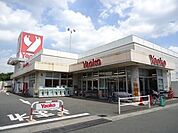 ヤオコー大宮宮原店 185m