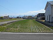 その他屋外