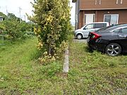 その他屋外