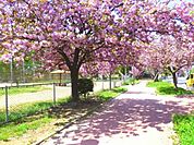 平野公園(公園)まで610m
