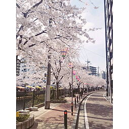 プレール・ドゥーク横浜SOUTH Maison Loir