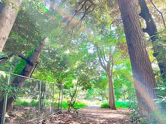 江古田の森公園...