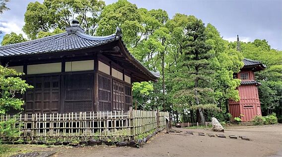 哲学堂公園（9...