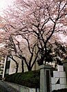 木崎中学校