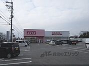 コスモス　蒲生日野店まで2000メートル