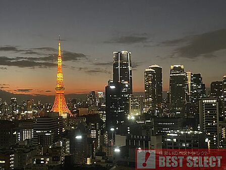 *リビングと寝室からは眼下に広がる高層ビル群と東京タワーを望めます*