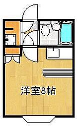 シティルーム折尾 A棟 2階/-