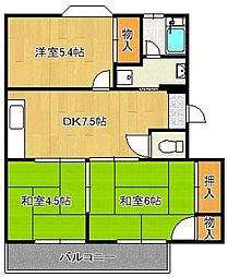 ラナンキュラス 2階