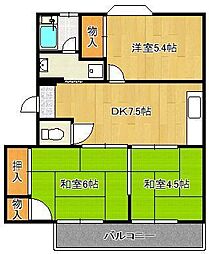 ラナンキュラス 3階