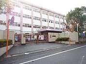 医生丘小学校(850m)