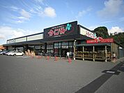 カーニバルプラスひびきの店 (510m)
