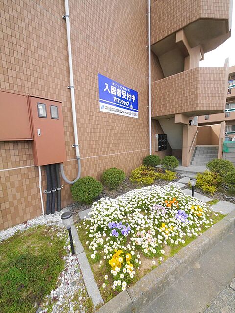 6 / 13