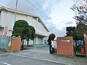 北九州市立永犬丸小学校(1、100m)
