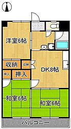 ダルマックスビル 5階/-