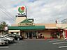 周辺：サンリブ／マルショク／小石店 (735m)