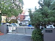 黒畑小学校(150m)