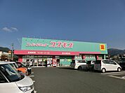 株式会社コスモス薬品／ディスカウントドラッグコスモ(1、772m)