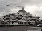 医療法人しょうわ会　正和中央病院(240m)