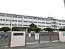 周辺：八児中学校(750m)