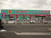 株式会社コスモス薬品／ディスカウントドラッグコスモ(951m)