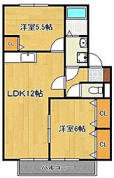 ウィルモア綺麗 1階/-