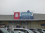 ウエルシア 蕨塚越店（534m）