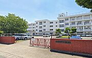 新田小（徒歩8分）